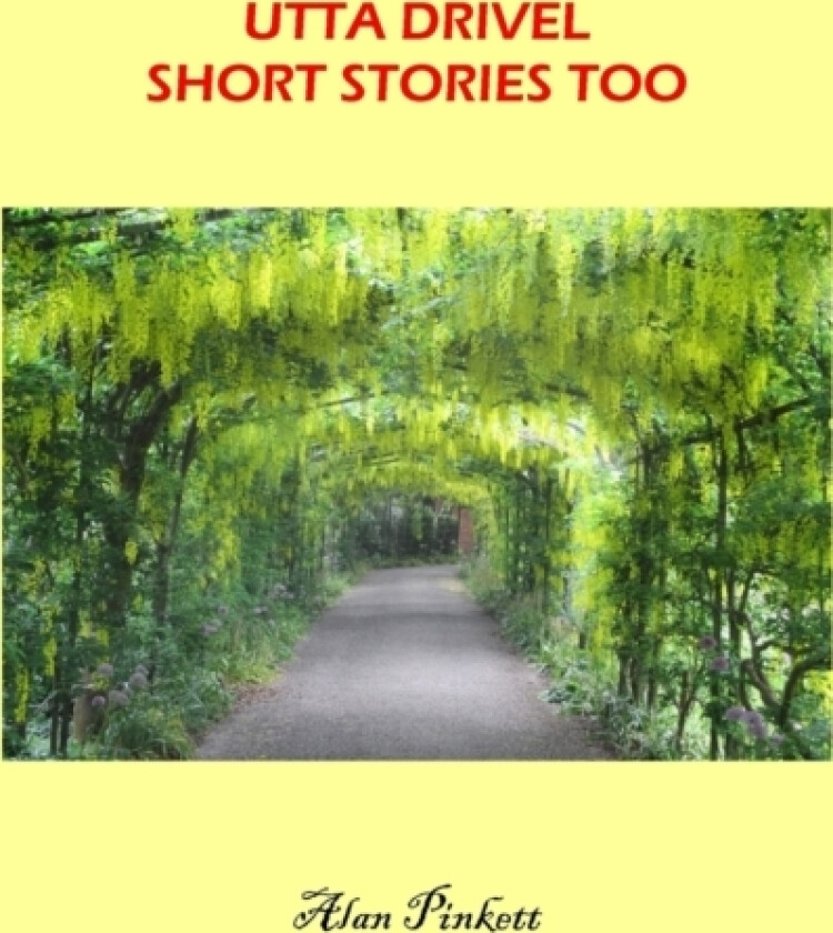Utta Drivel Short Stories Too av Alan Pinkett (Paperback)