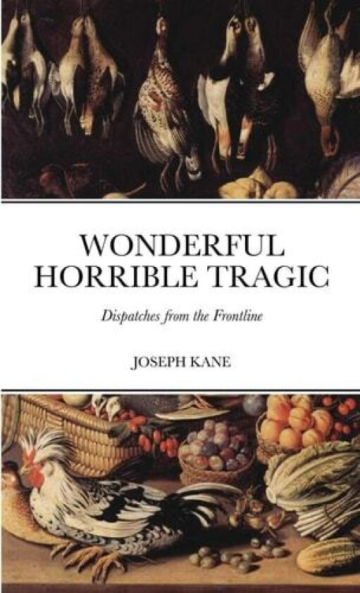Wonderful Horrible Tragic av Joseph Kane (Paperback)