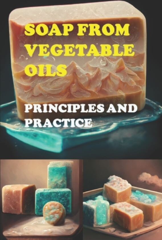 Soap from Vegetable Oils av Khanh B Vu (Paperback)