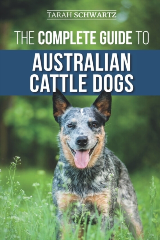 The Complete Guide to Australian Cattle Dogs av Tarah Schwartz (Paperback)
