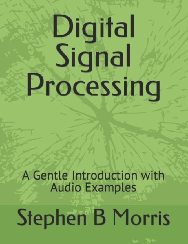 Digital Signal Processing av Stephen B Morris (Paperback)