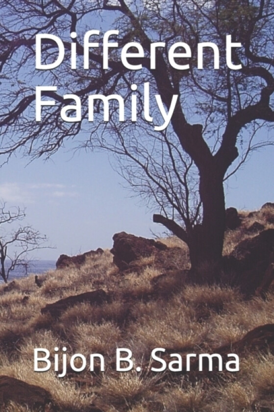 Different Family av Bijon B Sarma (Paperback)