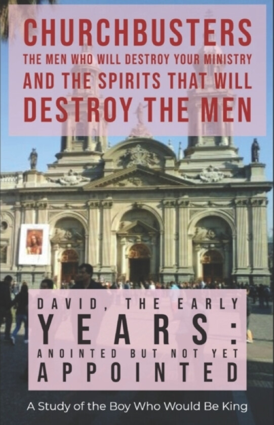 David av Dr Steven A Wylie (Paperback)