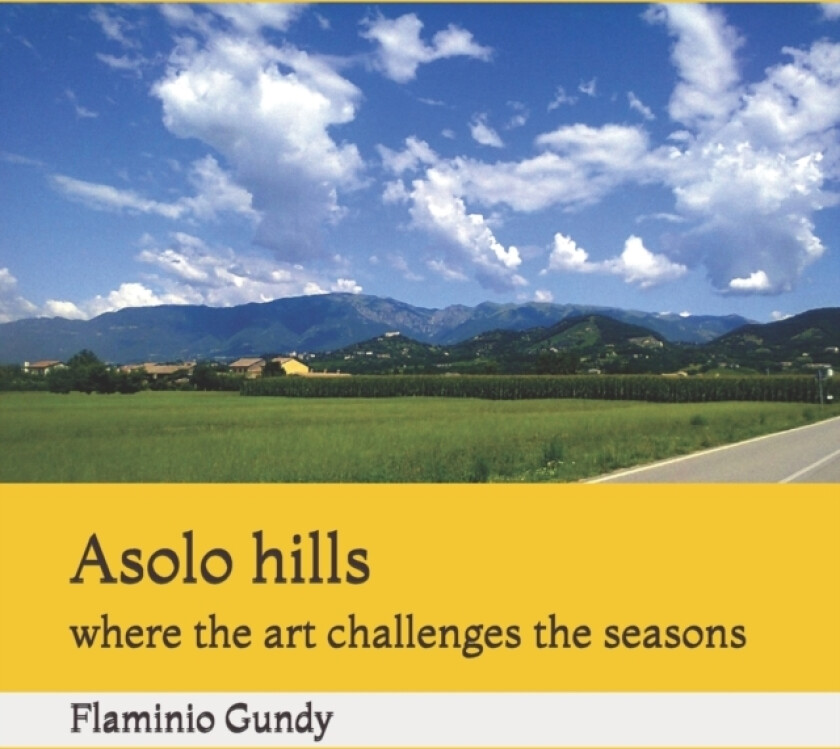 Asolo hills av Flaminio Gundy (Paperback)