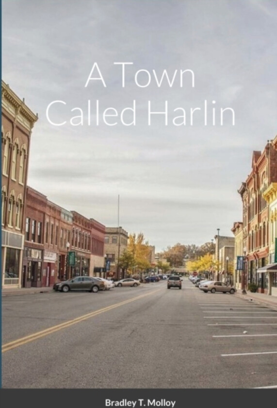 A Town Called Harlin av Bradley Molloy (Paperback)