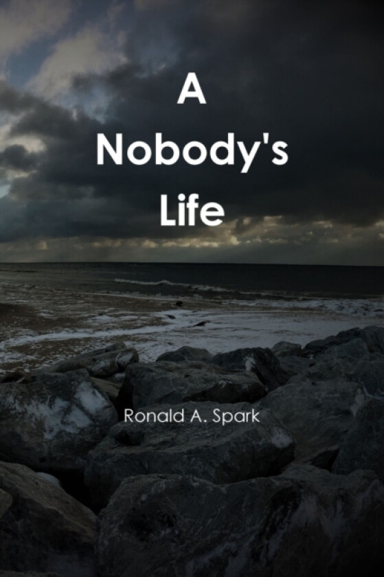 A Nobody's Life av Ronald Spark (Paperback)