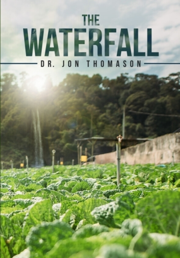 The Waterfall av Dr Jon Thomason (Paperback)