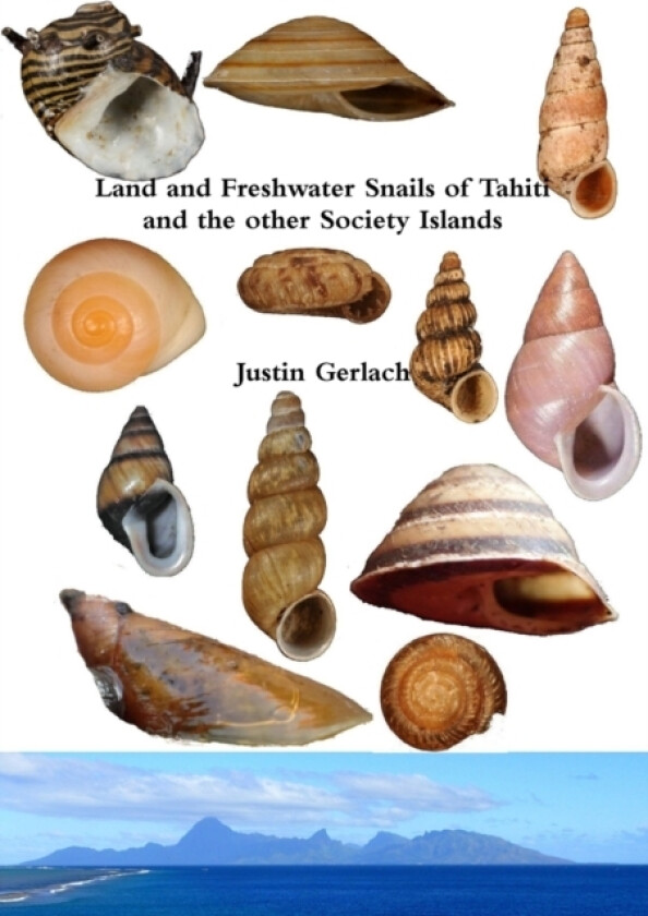 Land and Freshwater Snails of Tahiti and the other Society Islands av Justin Gerlach (Paperback)