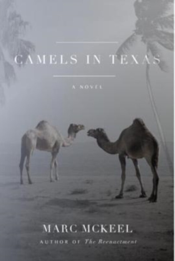 Camels in Texas av Marc McKeel (Hardcover)