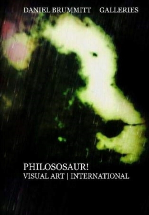 Daniel Brummitt Galleries av Daniel Brummitt (Hardcover)