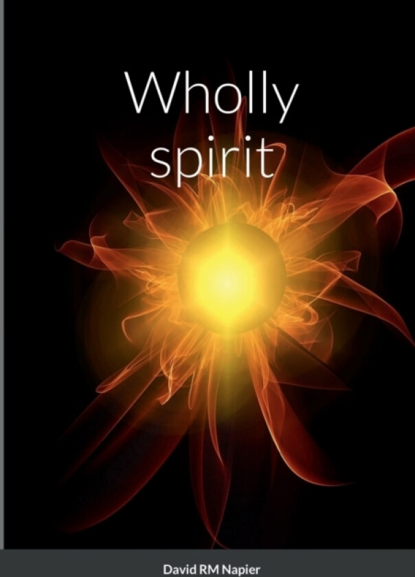 Wholly spirit av David Napier (Paperback)