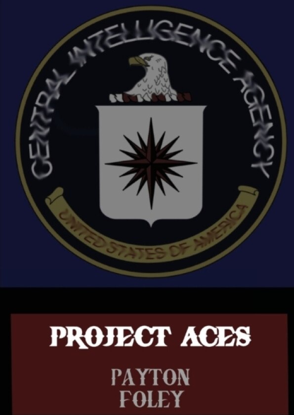 Project Aces av Payton Foley (Paperback)