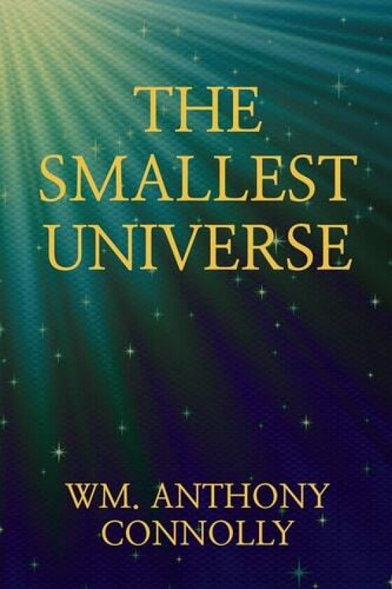 The Smallest Universe av Wm Anthony Connolly (Paperback)
