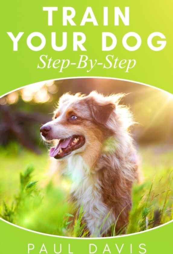 Train Your Dog Step-By-Step av Paul Davis (Paperback)