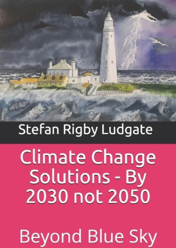 Climate Change Solutions - By 2030 not 2050 av Stefan Rigby Ludgate (Paperback)