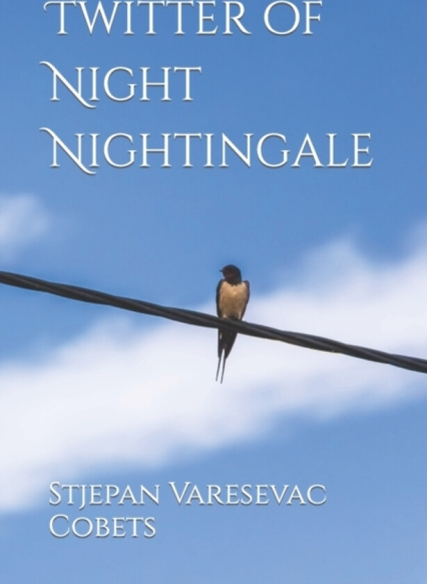 Twitter of Night Nightingale av Stjepan Varesevac Cobets (Paperback)