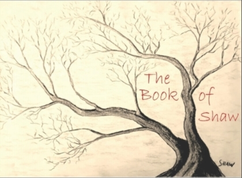 The Book Shaw av Eric Shaw (Paperback)