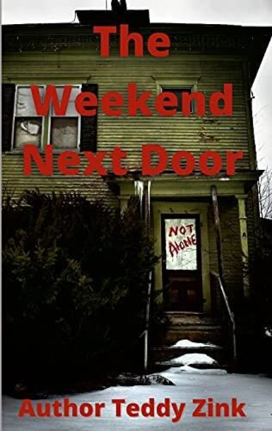 The Weekend Next Door av Teddy Zink (Paperback)