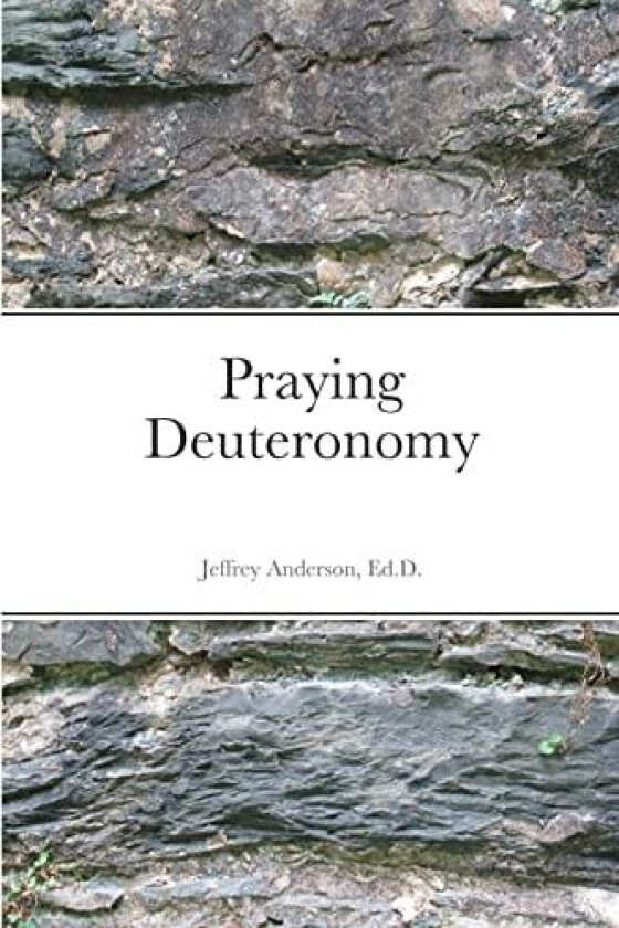 Praying Deuteronomy av Jeffrey Anderson (Paperback)