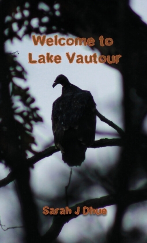 Welcome to Lake Vautour av Sarah J Dhue (Paperback)