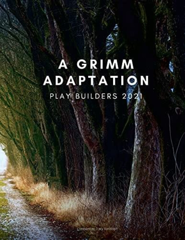 Play Builders av Matthew Randolph, Crispin Campbell (Paperback)