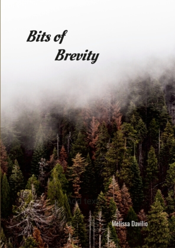 Bits of Brevity av Melissa Davilio (Paperback)