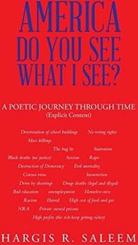 America Do You See What I See? av Hargis R Saleem (Hardcover)