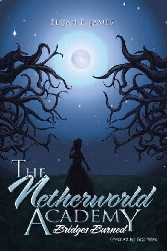 The Netherworld Academy av Elijah E James (Paperback)