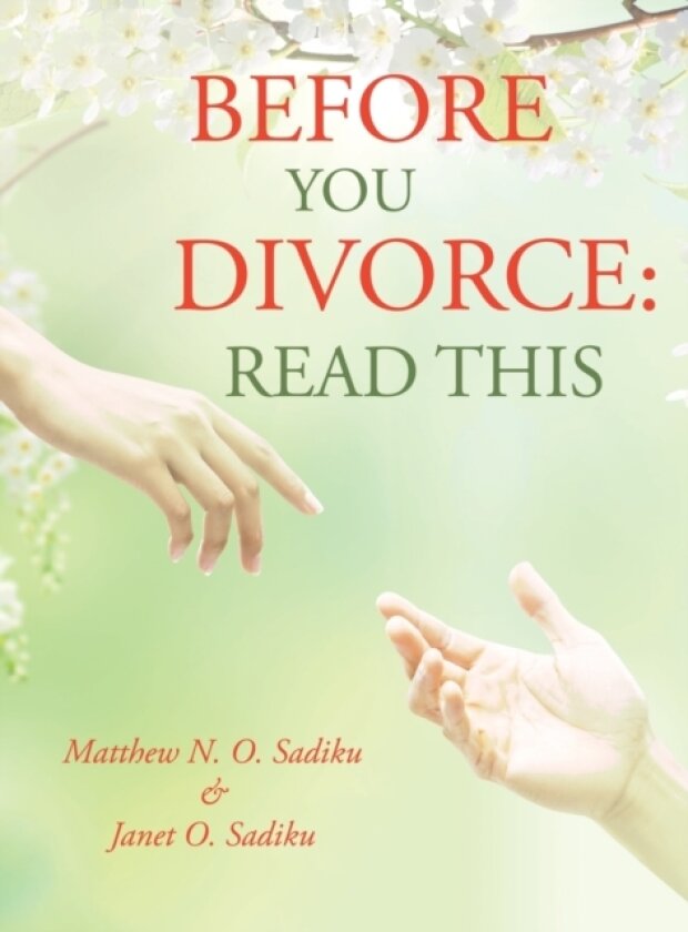 Before You Divorce av Matthew N O Sadiku, Janet O Sadiku (Hardcover)