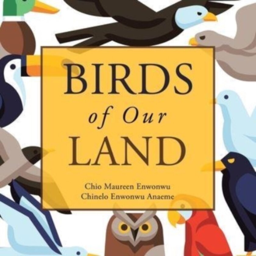 Birds of Our Land av Chio Maureen Enwonwu, Chinelo Enwonwu Anaeme (Paperback)