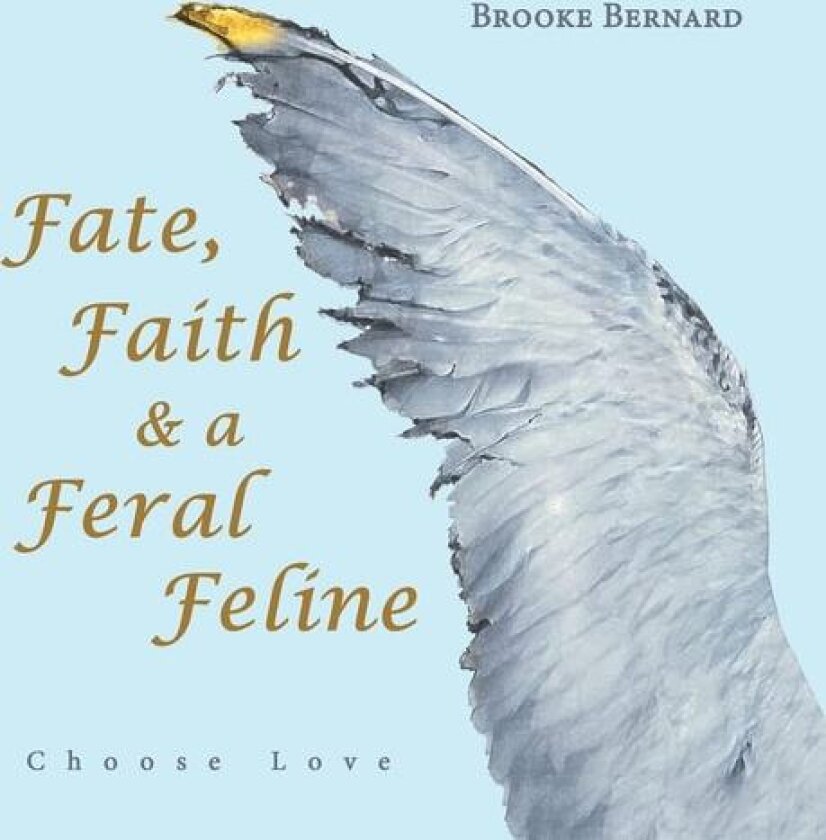 Fate, Faith & a Feral Feline av Brooke Bernard (Paperback)
