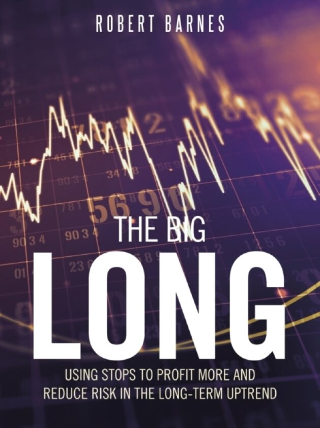 The Big Long av Robert Barnes (Paperback)