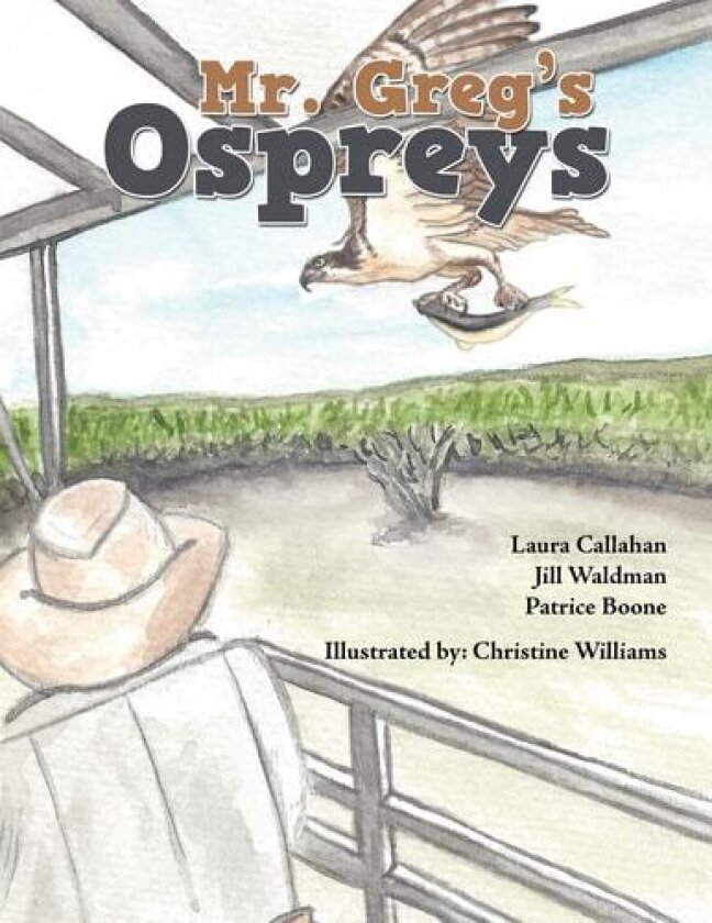 Mr. Greg's Ospreys av Laura Callahan, Patrice Boone, Jill Waldman (Paperback)