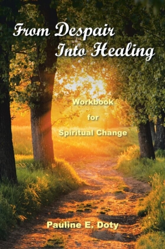 From Despair into Healing av Pauline E Doty (Paperback)
