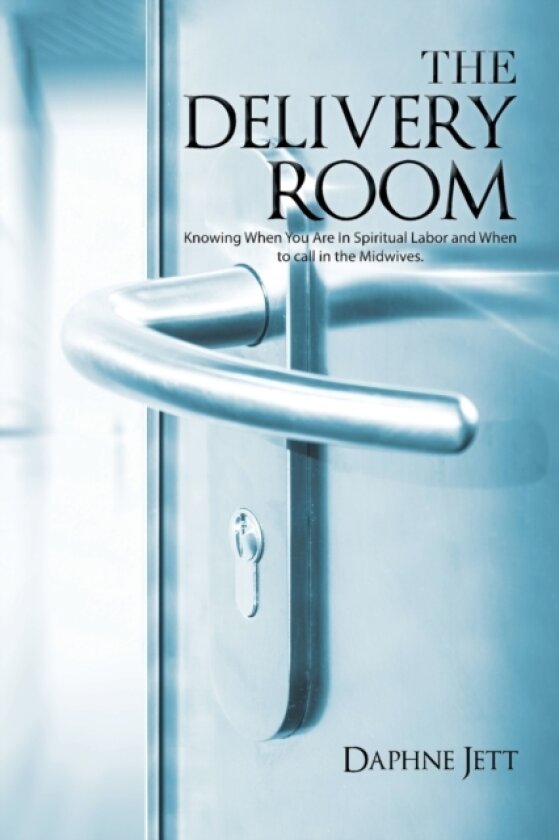 The Delivery Room av Daphne Jett (Paperback)