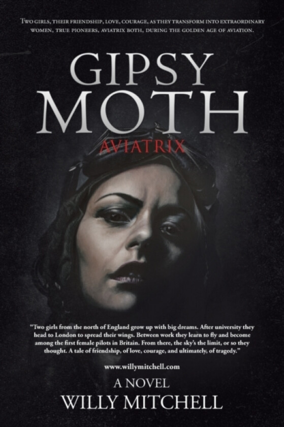 Gipsy Moth av Willy Mitchell (Paperback)