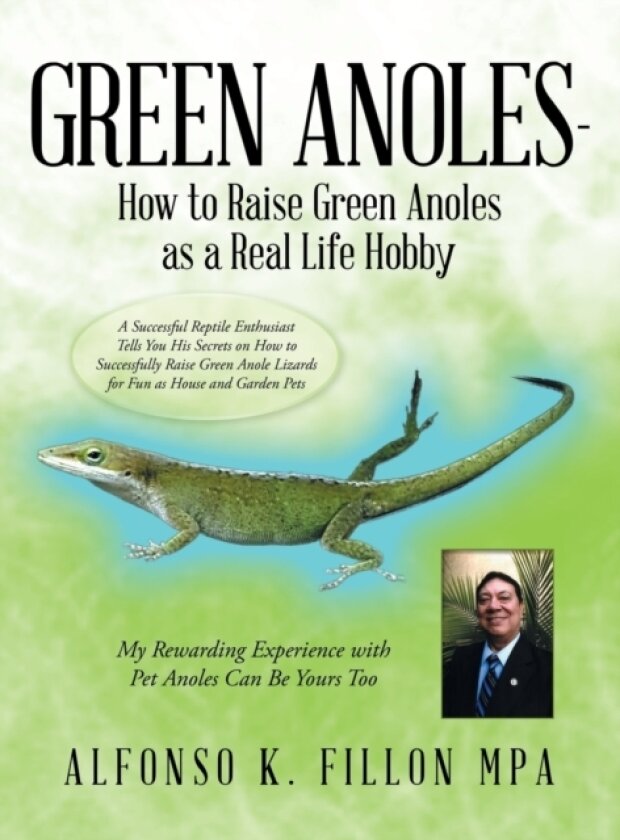 Green Anoles - How to Raise Green Anoles as a Real Life Hobby av Alfonso K Fillon Mpa (Hardcover)