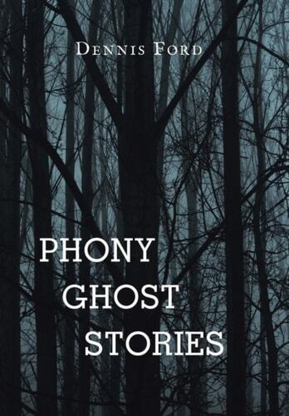 Phony Ghost Stories av Dennis Ford (Hardcover)