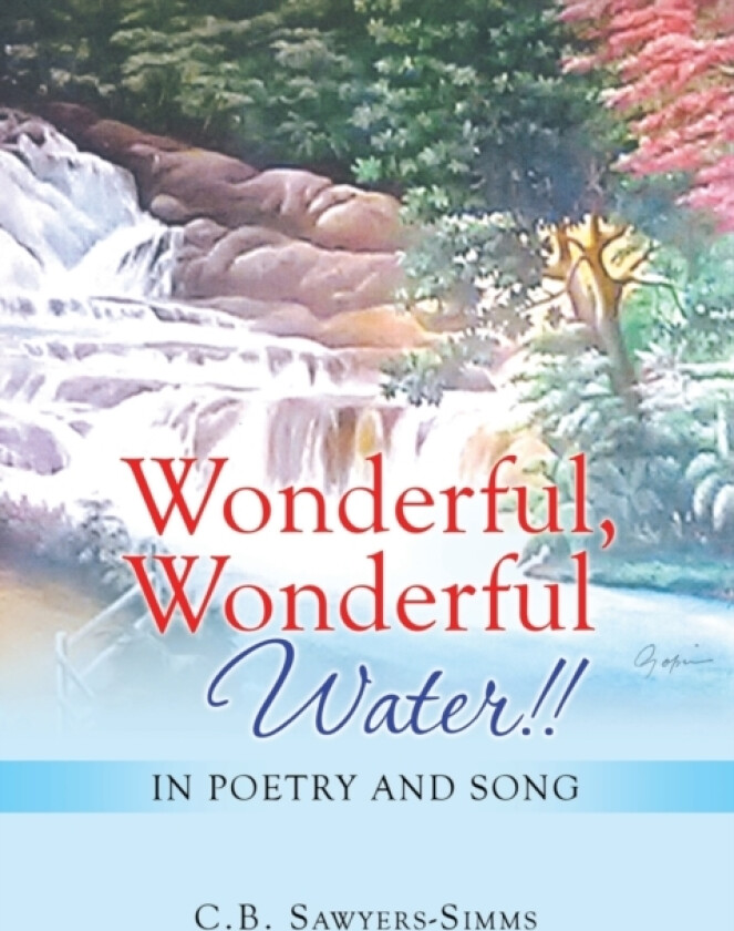 Wonderful, Wonderful Water!! av C B Sawyers-Simms (Paperback)