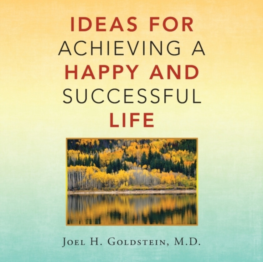 Ideas for Achieving a Happy and Successful Life av Joel H M D Goldstein (Paperback)