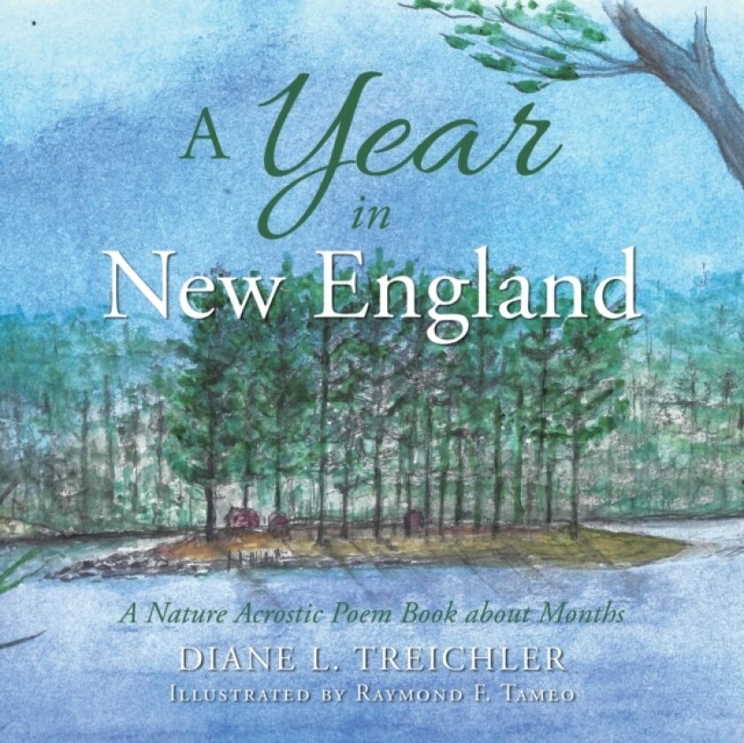A Year in New England av Diane L Treichler (Paperback)
