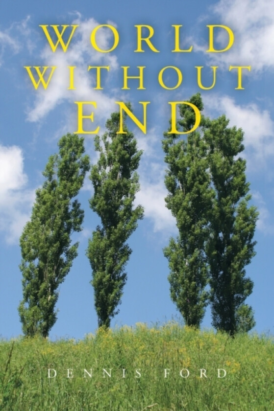 World Without End av Dennis Ford (Paperback)