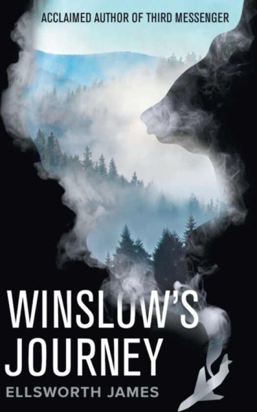 Winslow's Journey av Ellsworth James (Paperback)