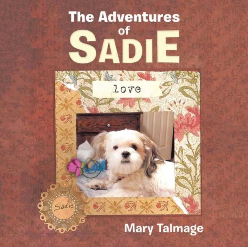 The Adventures of Sadie av Mary Talmage (Paperback)