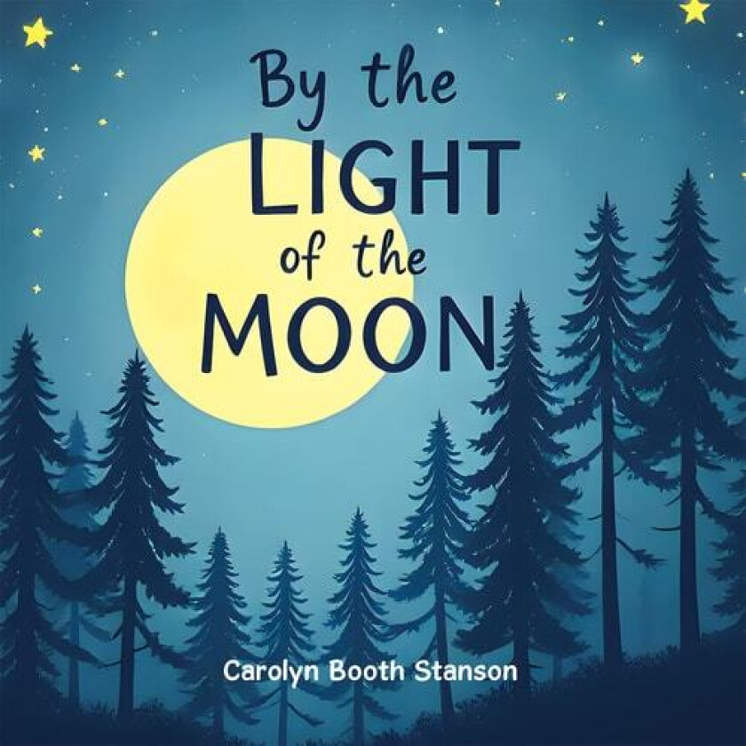 By the Light of the Moon av Carolyn Booth Stanson (Paperback)