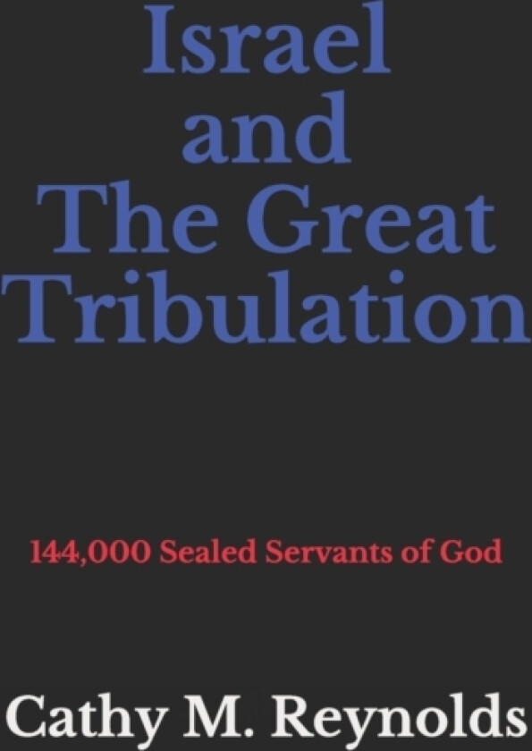 Israel and The Great Tribulation av Cathy M Reynolds (Paperback)
