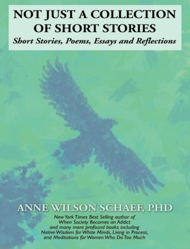 Not Just a Collection of Short Stories av Anne Wilson PhD Schaef (Paperback)