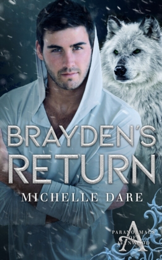 Brayden's Return av Michelle Dare (Paperback)