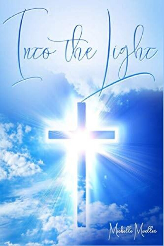 Into the Light av Michelle Mueller (Paperback)
