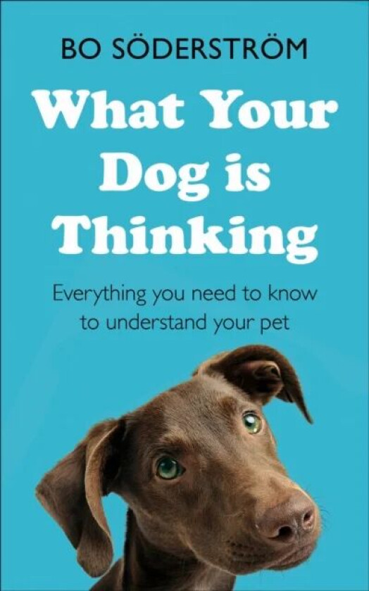 What Your Dog Is Thinking av Bo Soederstroem